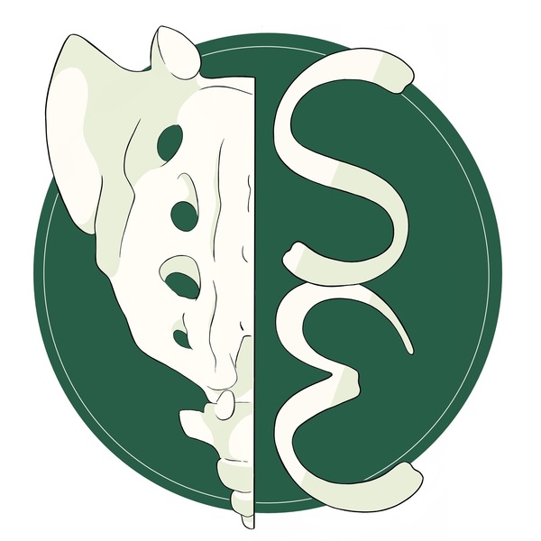 Sacral Edge