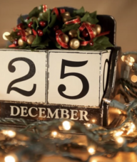 Book an Appointment with Company for Christmas for Company for Christmas