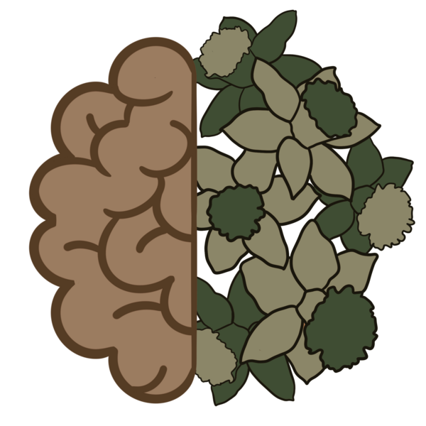 The Mindful Therapy Place