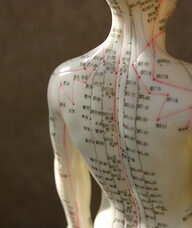 Book an Appointment with Chloe Huang for Acupuncture